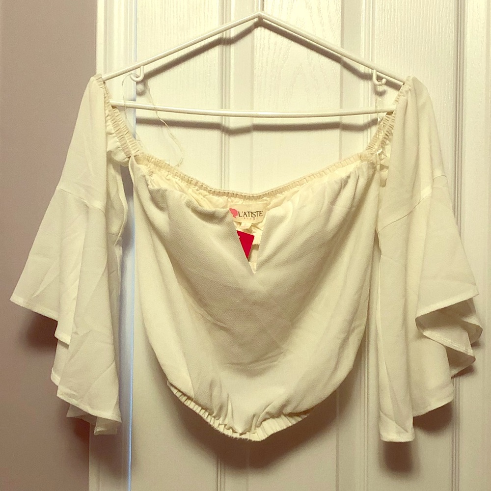 NWT Crop Top
